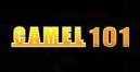 Camel 101